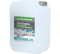 Грунтовка глубокого проникновения Professional PG107 для внутренних работ, с антисептиком, 5 л 28866