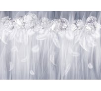 Фотообои ООО Ортограф 3.93x2.7 м OF_34738