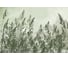 Фотообои ООО Ортограф 3.93x2.7 м OF_34992 1