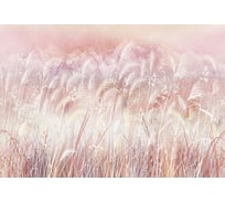 Фотообои ООО Ортограф 3.93x2.7 м OF_34985