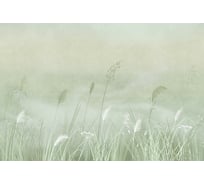 Фреска ООО Ортограф 4x2.7 м FX_34983