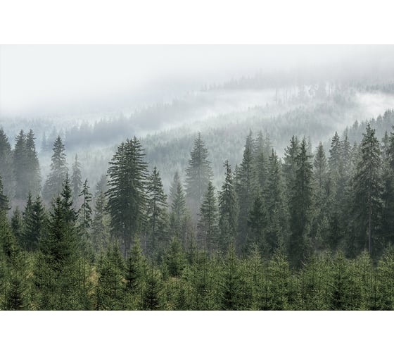 Фреска ООО Ортограф 4x2.7 м FX_34780