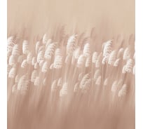Фотообои ООО Ортограф 2,96x3 м OF_34721