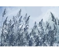Фотообои ООО Ортограф 3.93x2.7 м OF_34991