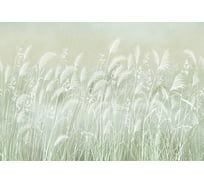 Фотообои ООО Ортограф 3.93x2.7 м OF_34984