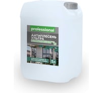 Пропитка Professional АНТИПЛЕСЕНЬ УЛЬТРА PC422 концентрат 1:1, 5 л 29029