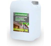 Антисептик Professional Биощит PC401 зеленый, для наружных и внутренних работ, 5 л 29170