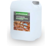 Пропитка Professional АНТИЖУК PC423 10 л 29036