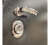 Дверь DIVA 40 зеркало 2050x960 мм, левая, титан - Д15 Силк Маус УТ-00074357