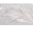 Обои Palitra Home Tropical shades HC71973-42 5