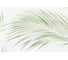 Обои Palitra Home Tropical shades HC71973-17 6