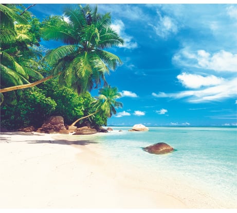 Фотообои Симфония Райский уголок 6 л. К-120