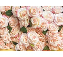 Фотообои бумажные в спальню 280х200 см Симфония Роскошные розы 8л. В-013