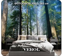 Флизелиновые фотообои Verol лес туман свет, 300x283 см, зеленый, 3 полосы 109-ФФО-04037