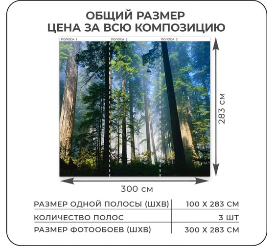 Флизелиновые фотообои Verol лес туман свет, 300x283 см, зеленый, 3 полосы 109-ФФО-04037