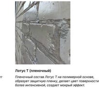Универсальный гидрофобизирующий Технониколь Лотус Т 1 л TN735791