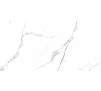 Керамическая настенная плитка PRIMAVERA Тянь-Шань Дамон, мрамор, глянцевая, TP3628A, 60x30 см, 1,44 м2 47637
