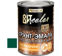 Грунт-эмаль ВИТcolor быстросохнущая, зелёный мох ral 6005, 0.8 кг 65972