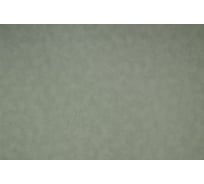 Виниловые обои Color NC 4050-030