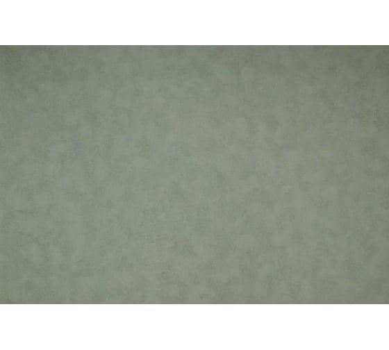 Виниловые обои Color NC 4050-030