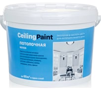 Потолочная краска ЗАО Декарт Ceiling Paint 9 кг 27818