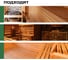 Антисептик для бань и саун PROSEPT ECO SAUNA 10л. 016-10 4