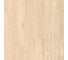 Кварц-виниловый ламинат (spc) Alpine Floor CLASSIC LIGHT дуб ваниль селект, 2,23 м2 ECO 106-33 MC-R 1