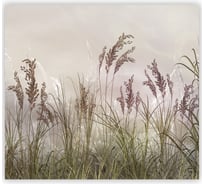 Фотообои Fbrush Полевые растения 3x2,7 e-23214343