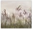Фотообои Fbrush Полевые растения 3x2,7 e-23214343 1