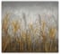 Фотообои Fbrush Золотистая рожь 3x2,7 см e-23214317 1