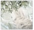Фотообои Fbrush Ботаника в акварели 3x2,7 e-23214310 1