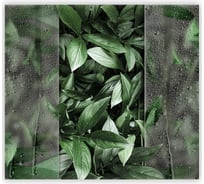 Фотообои Fbrush Листья за стеклом 3x2,7 e-23214007