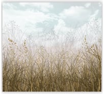 Фотообои Fbrush Сухая трава 3x2,7 см e-23214399