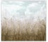 Фотообои Fbrush Сухая трава 3x2,7 см e-23214399 1