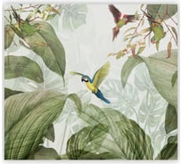 Фотообои Fbrush Тропические птицы 3x2,7 e-23213993