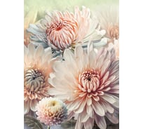 Фотообои Fbrush Нежные хризантемы 2x2,7 см e-22114422