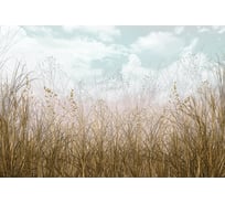 Фотообои Fbrush Сухая трава 4x2,7 e-24214399