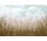 Фотообои Fbrush Сухая трава 4x2,7 e-24214399 1