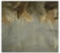 Фотообои Fbrush Ветви золота 4x2,7 e-24214308 1