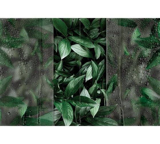 Фотообои Fbrush Листья за стеклом 4x2,7 e-24214007 1