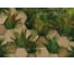 Фотообои Fbrush Бетон и листья 4x2,7 e-24214330 1