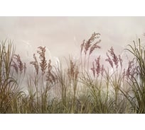 Фотообои Fbrush Полевые растения 4x2,7 см e-24214343