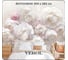 Флизелиновые фотообои Verol встык пионы 300x283 см, полосы по 75см 172-ФФО-03298 3
