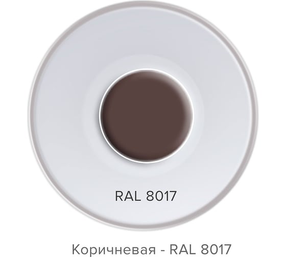 Аэрозольная эмаль Технониколь коричневая 8017 TN768557