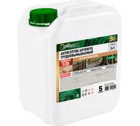 Трудновымываемый антисептик для наружных работ UPGUARD В6 5л, концентрат 1:20 срок защиты до 30 лет 26-5
