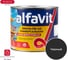 Универсальная эмаль ALFAVIT Альфа ПФ-115 черная 1.9 кг 6 30766 1