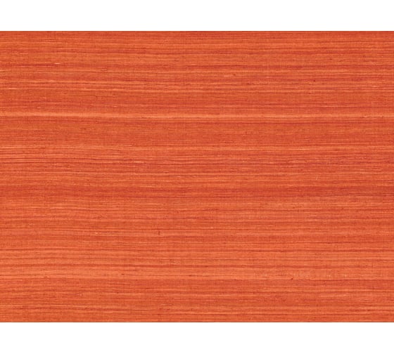 Декоративная пропитка для защиты древесины PINOTEX CLASSIC NW (рябина; 1 л) 5195454