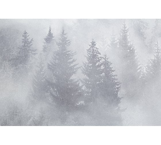 Обои Palitra Home My forest HC71960-14