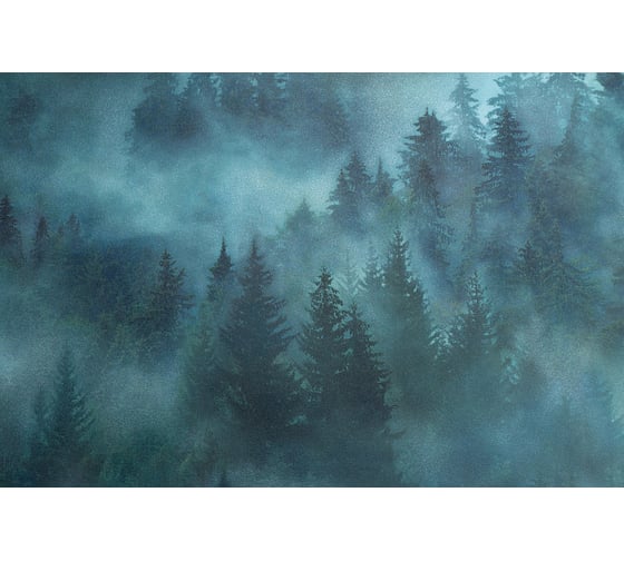 Обои Palitra Home My forest HC71960-67