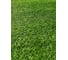 Искусственный газон Prettie grass 50 на 200 см (высота ворса 20 мм) искусственная трава в рулоне BH-2005 3